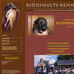 www.Bjorshults.se - björshults kennel |-