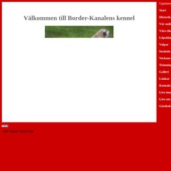 www.Borderkanalen.se - ***Border-Kanalens kennel*** Borderterrier***