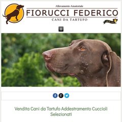 www.Canidatartufofiorucci.com - Vendita Cani Tartufo Addestramento Cane