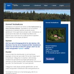 www.Dachshunden.no - Kennel Vesleøksna