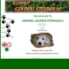 www.Golden-stenholm.dk - Kennel Goldenstenholm