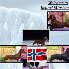 www.Kennel-minstemann.com - Forside