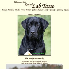 www.Labtasso.dk - Velkommen hos Kennel Lab Tasso
