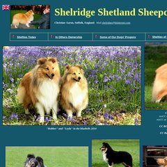 www.Shelridge.org - Shelridge Shetland Sheepdog England