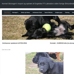 www.Skovagers.com - Kennel Skovager's opdræt af FT-Labradors.